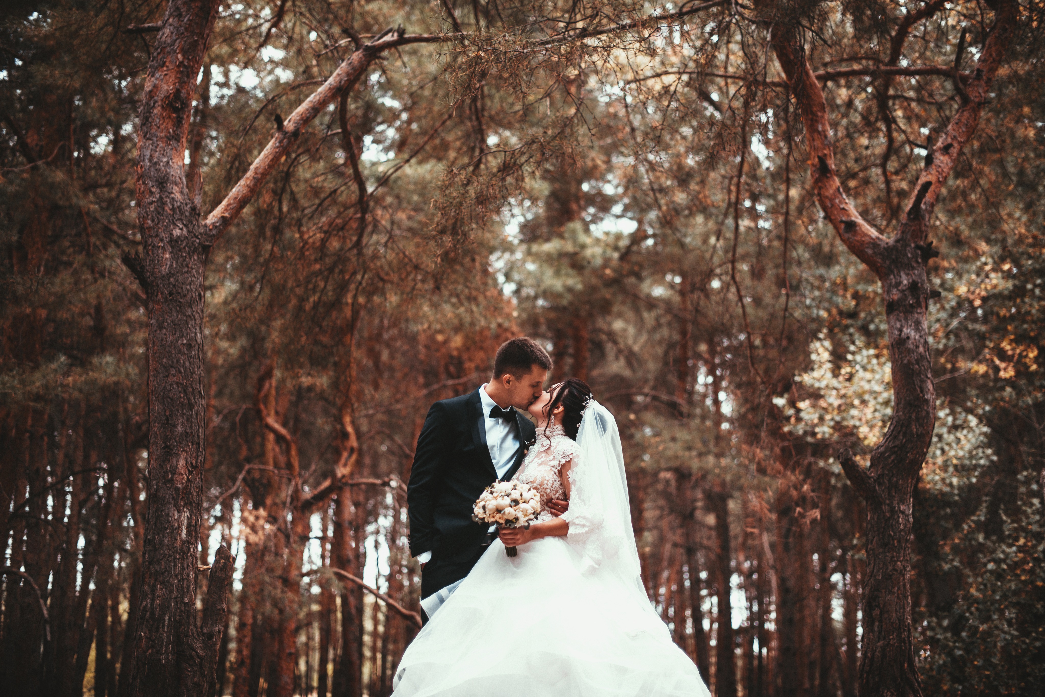 A bride and groom sharing a kiss beneath tall pine trees